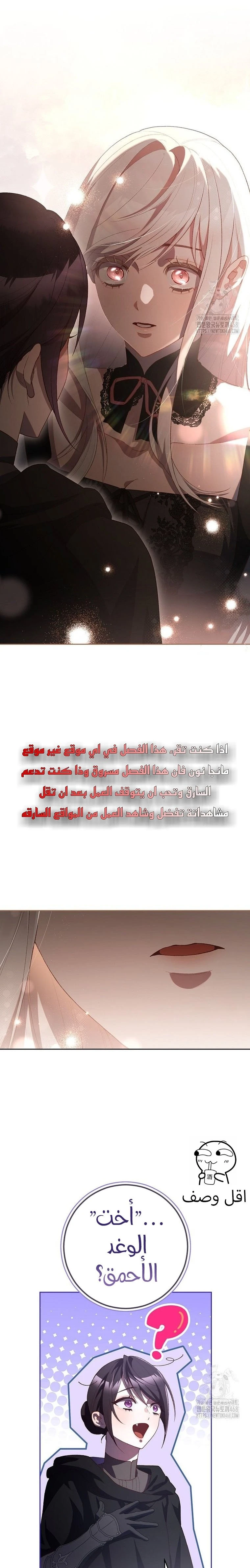 الصفحة 25