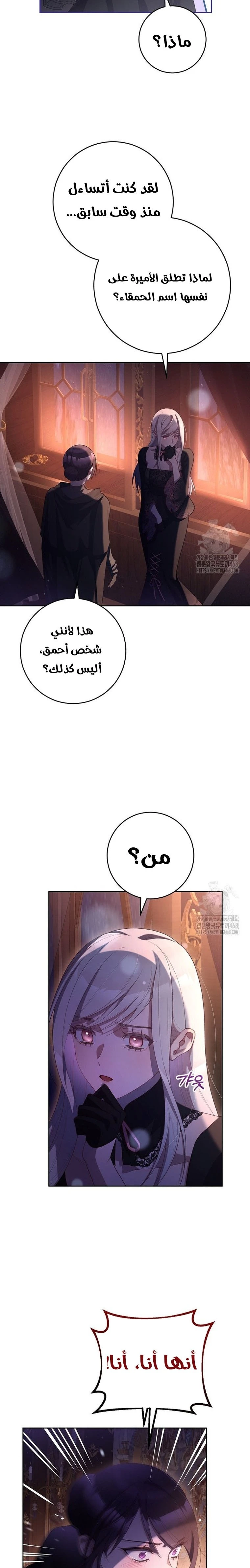 الصفحة 26