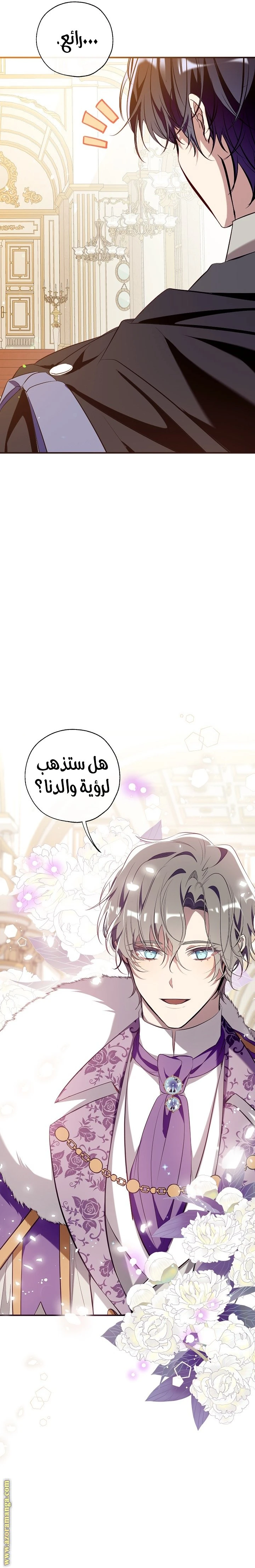 الصفحة 17