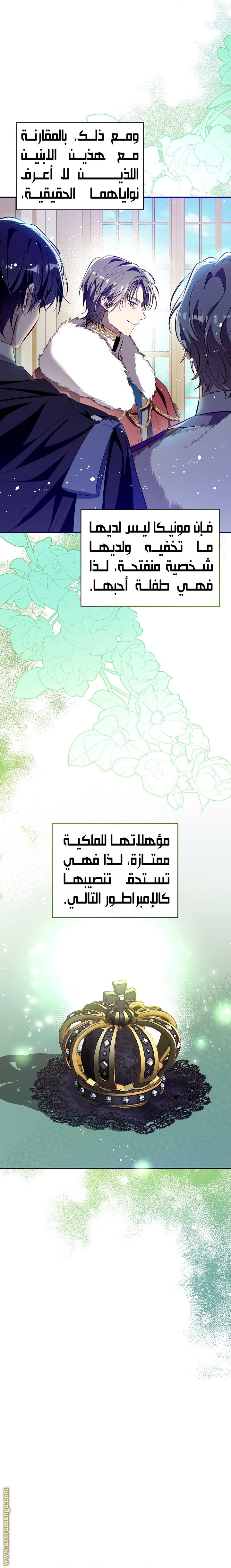الصفحة 24
