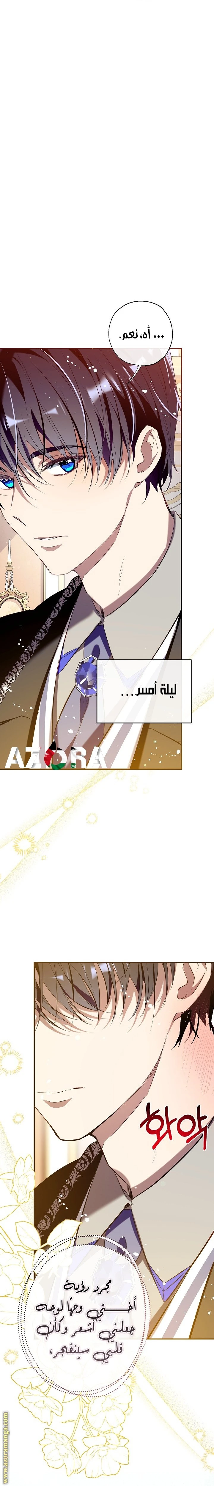 الصفحة 29