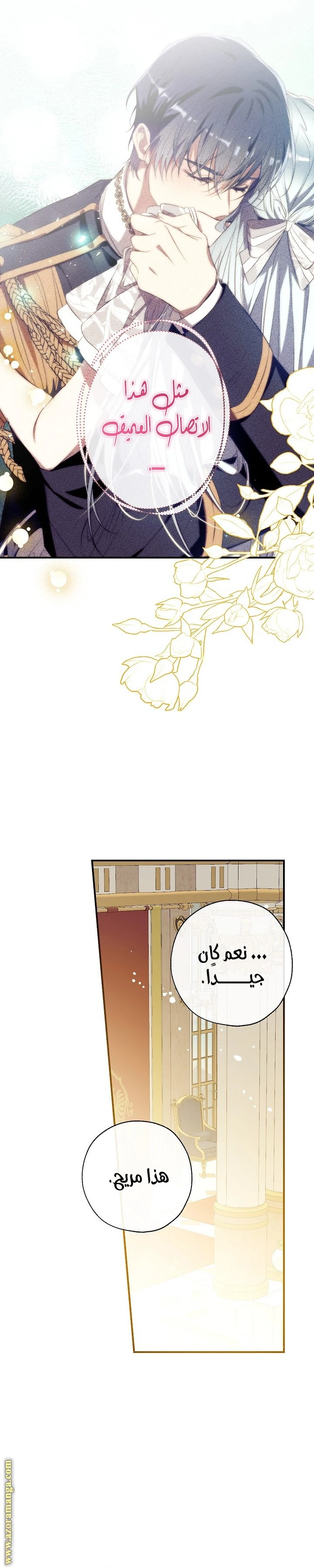الصفحة 30