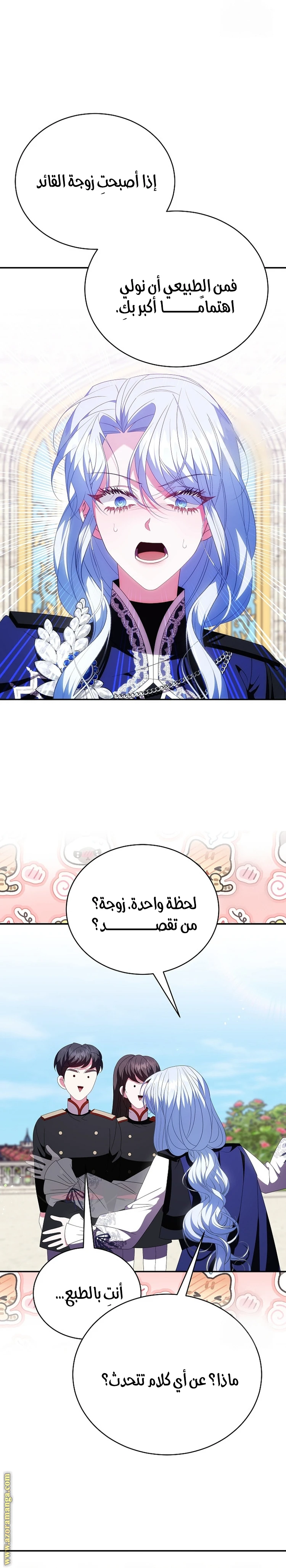 الصفحة 17
