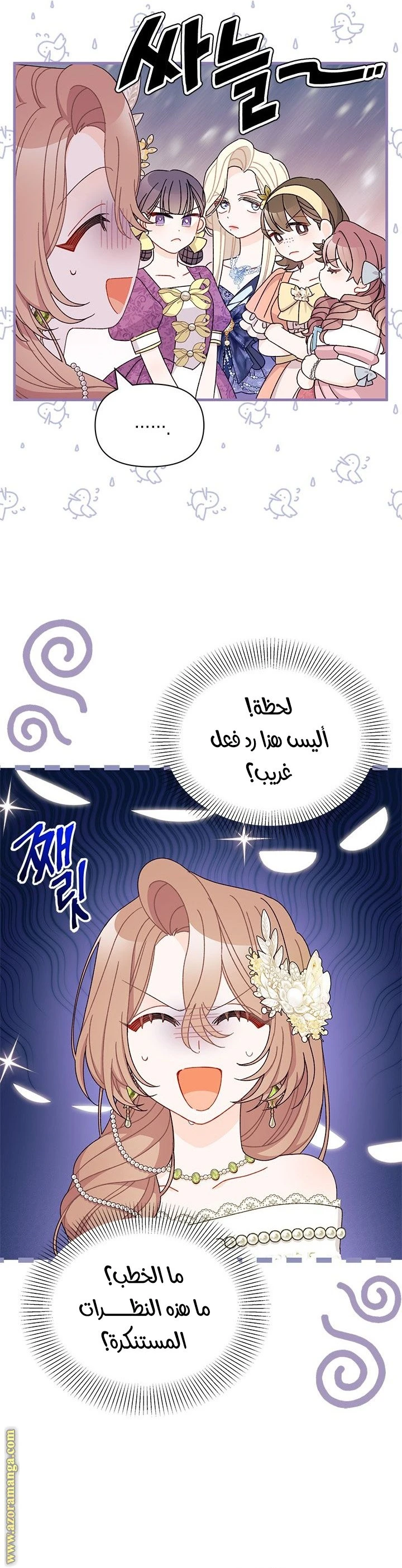 الصفحة 13
