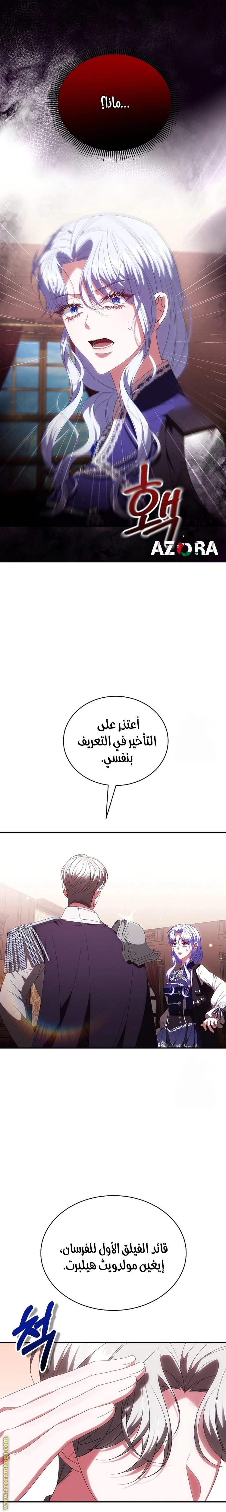 الصفحة 21