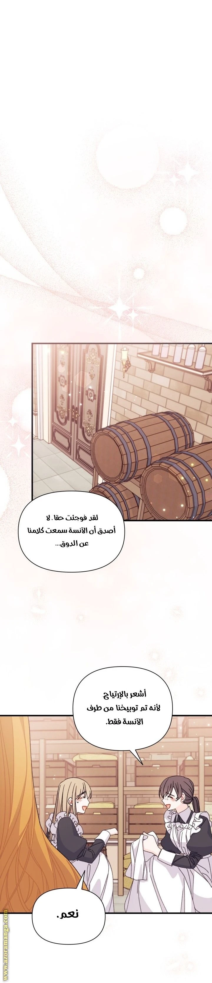 الصفحة 17