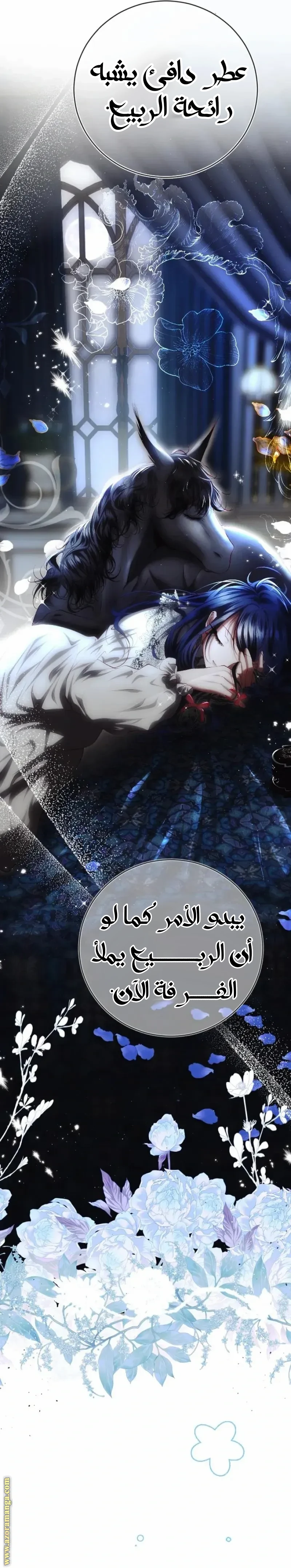 الصفحة 14