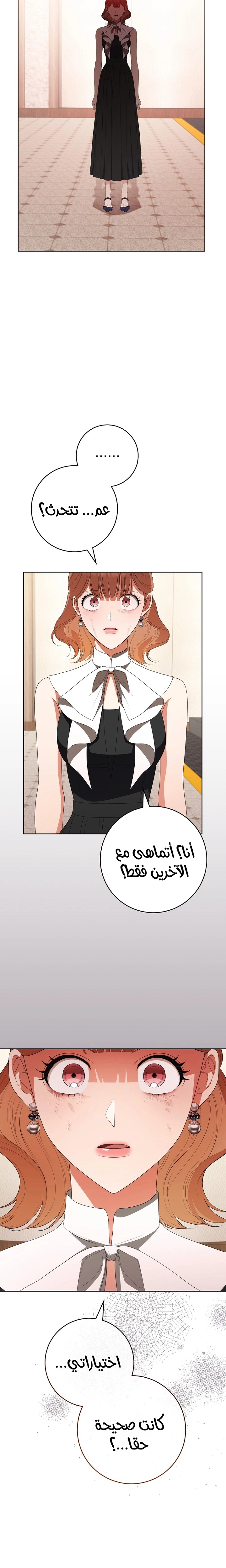 الصفحة 25
