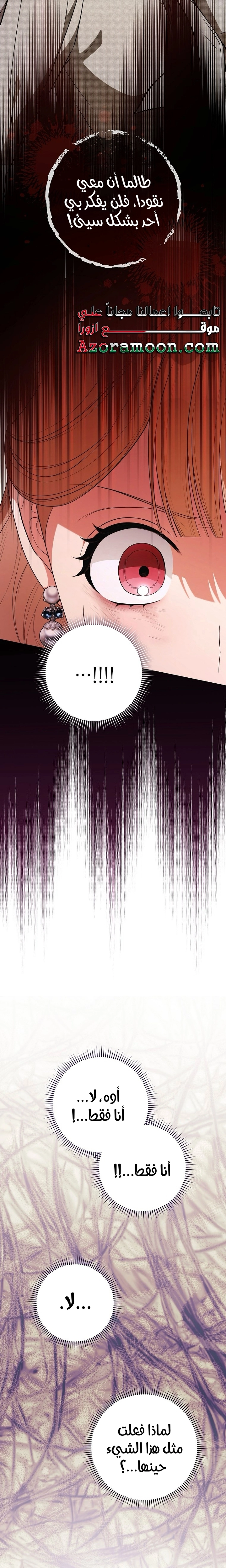 الصفحة 27