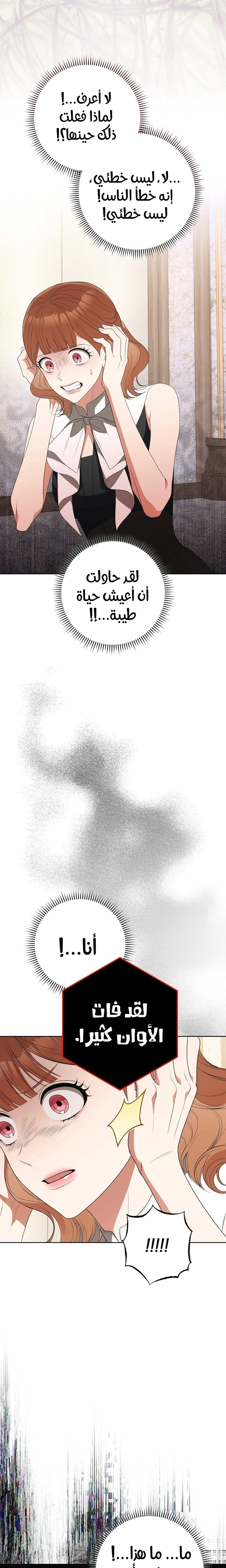 الصفحة 28