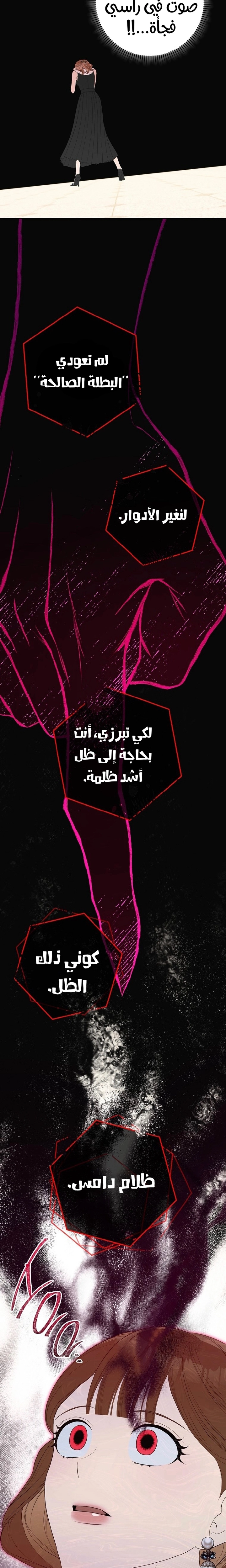 الصفحة 29