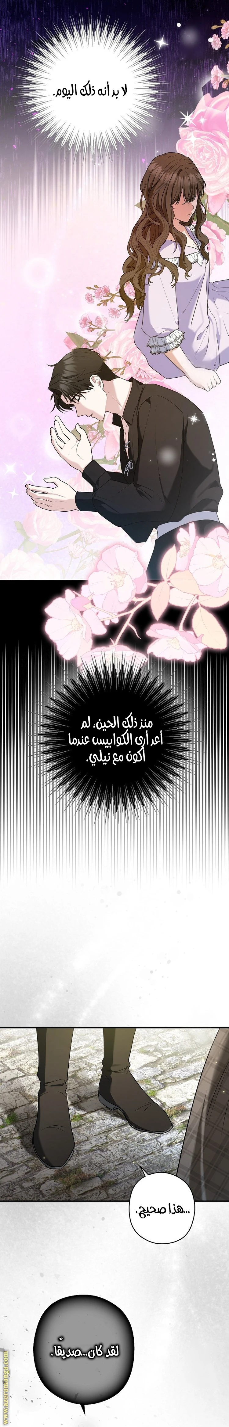 الصفحة 15