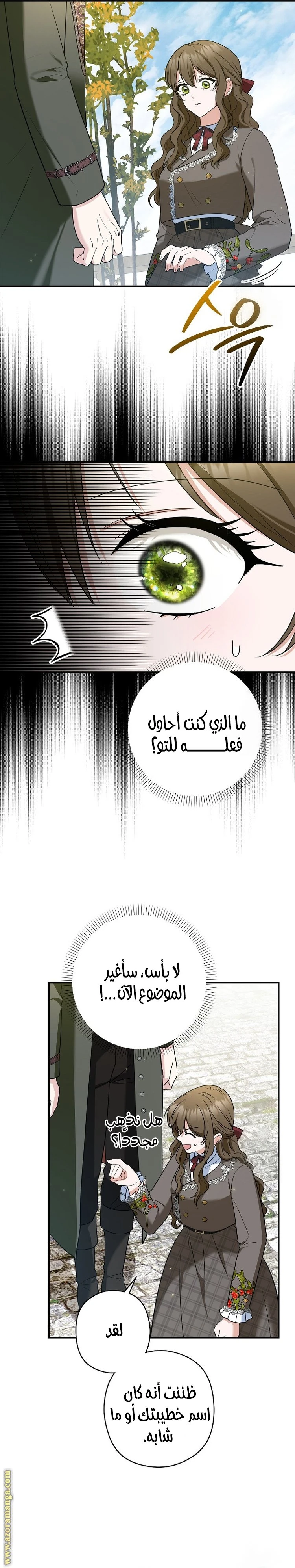 الصفحة 17