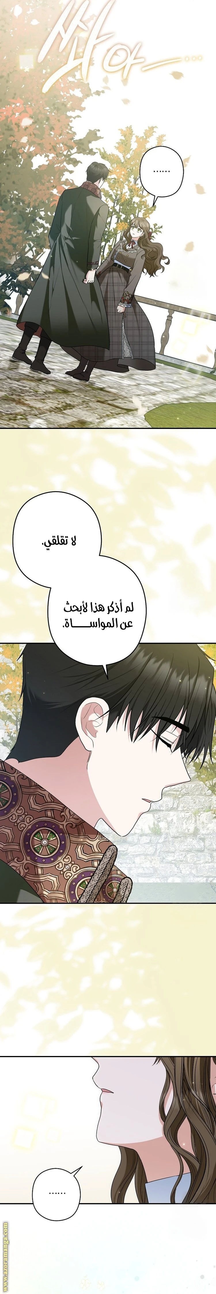 الصفحة 25