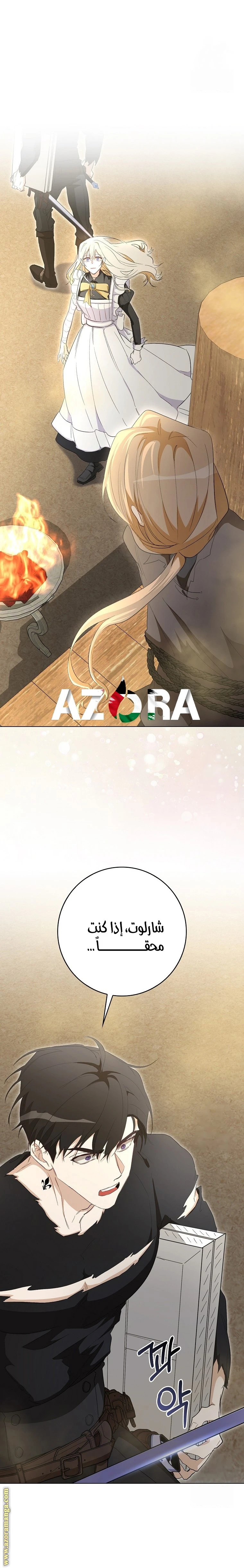 الصفحة 20
