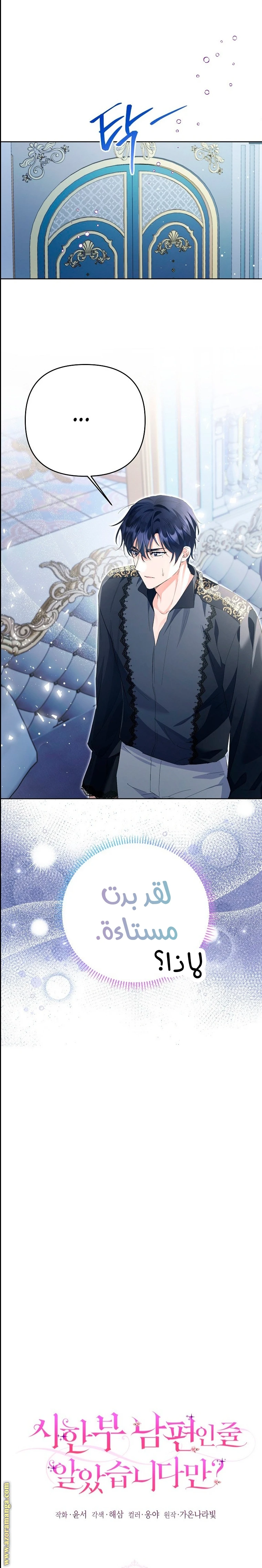 الصفحة 17