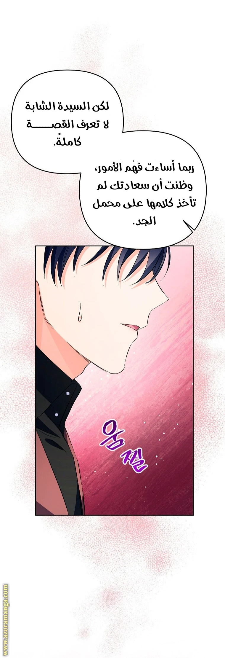 الصفحة 24
