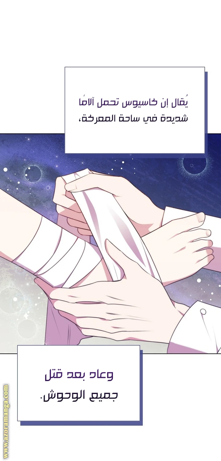 الصفحة 41