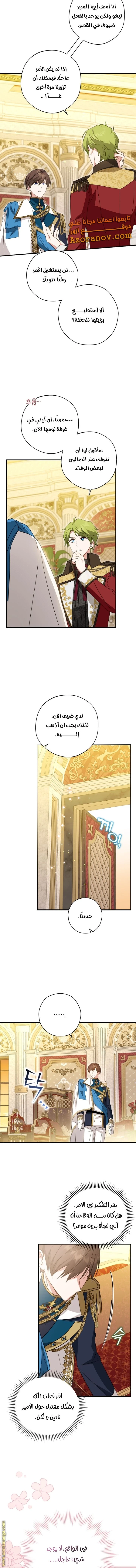 الصفحة 12
