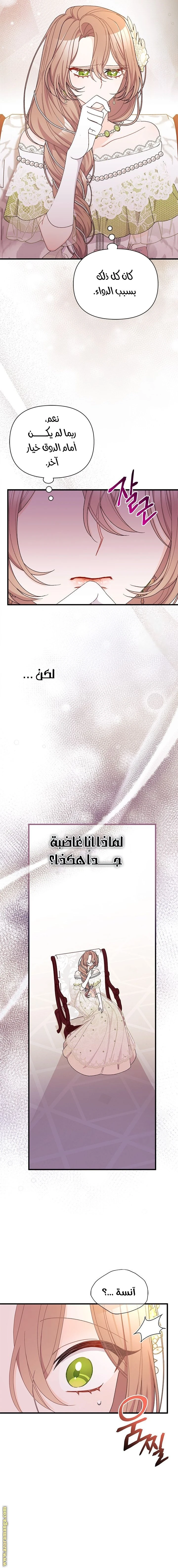 الصفحة 13