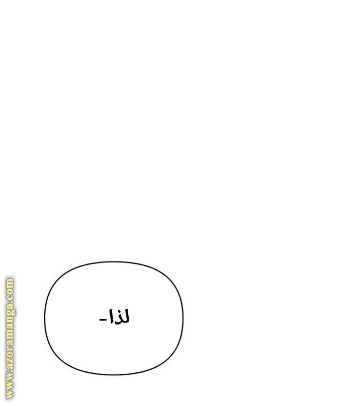 الصفحة 27