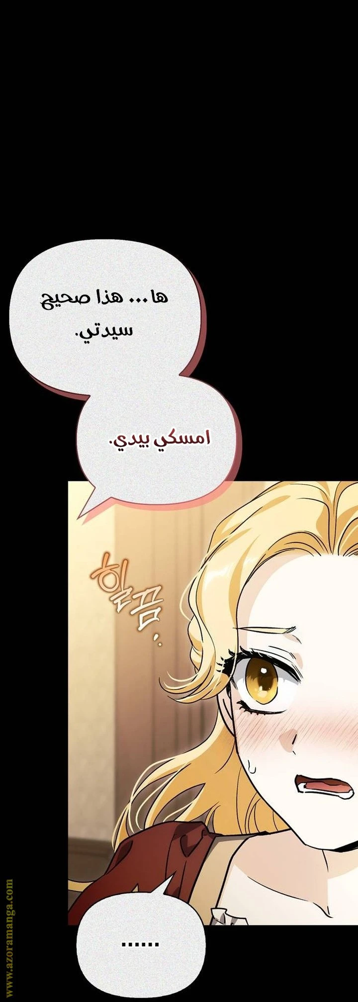 الصفحة 47