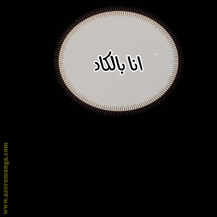 الصفحة 48