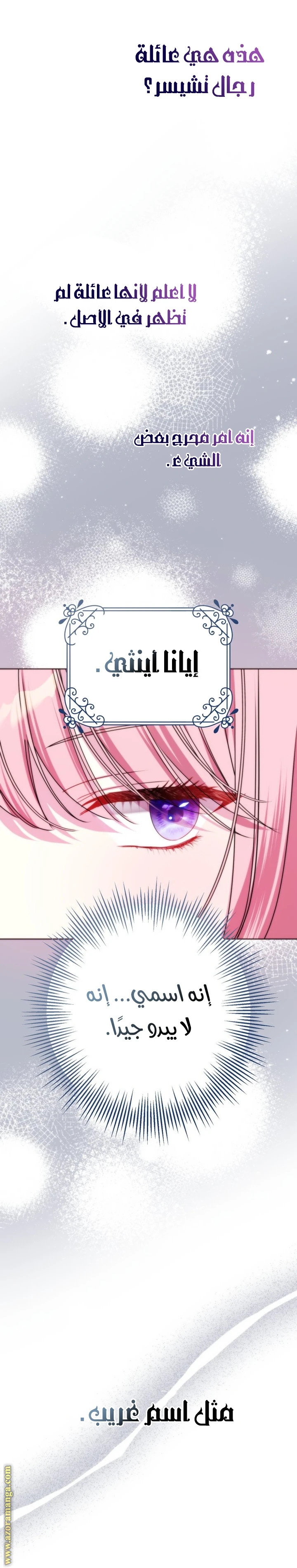 الصفحة 13