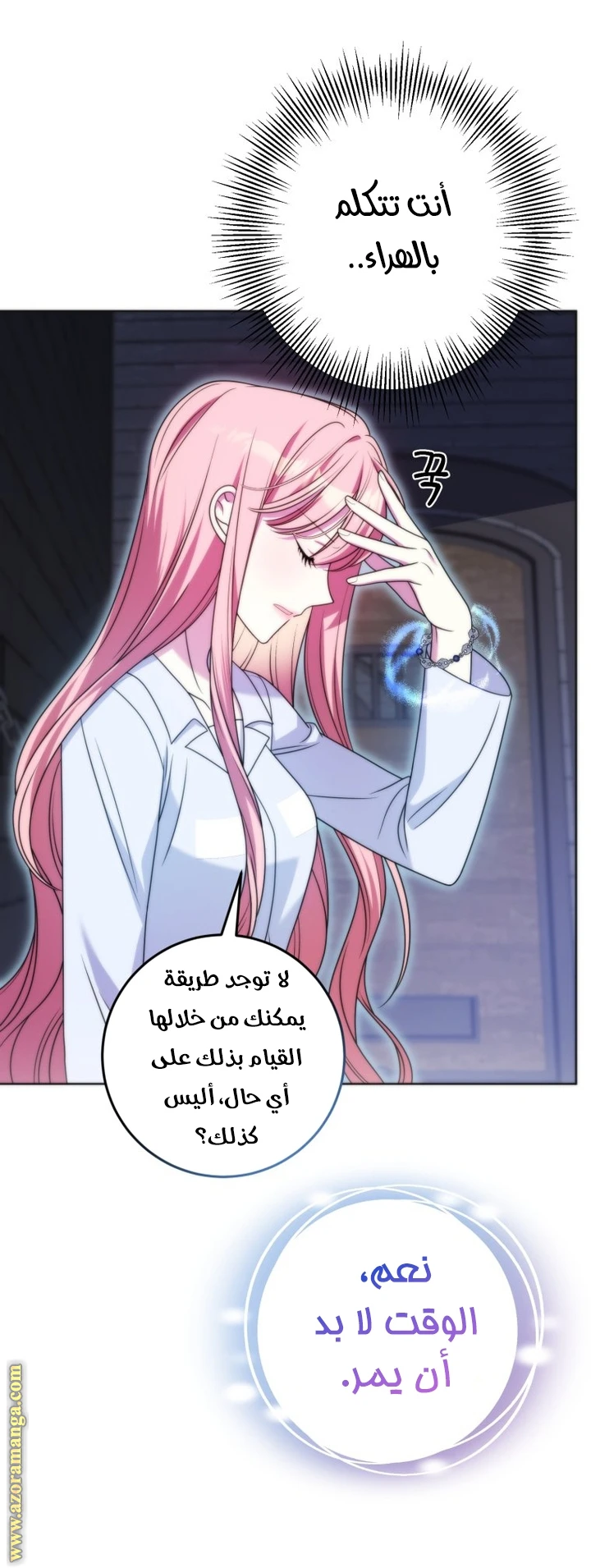 الصفحة 25