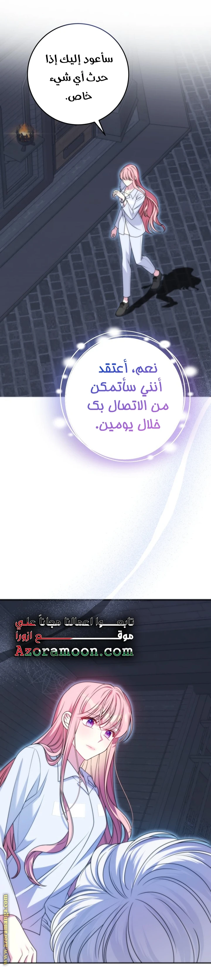 الصفحة 29