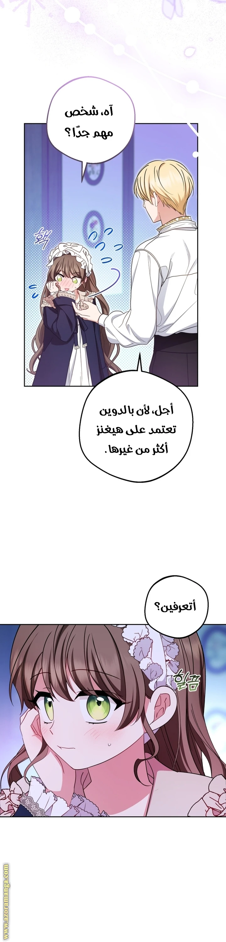 الصفحة 17