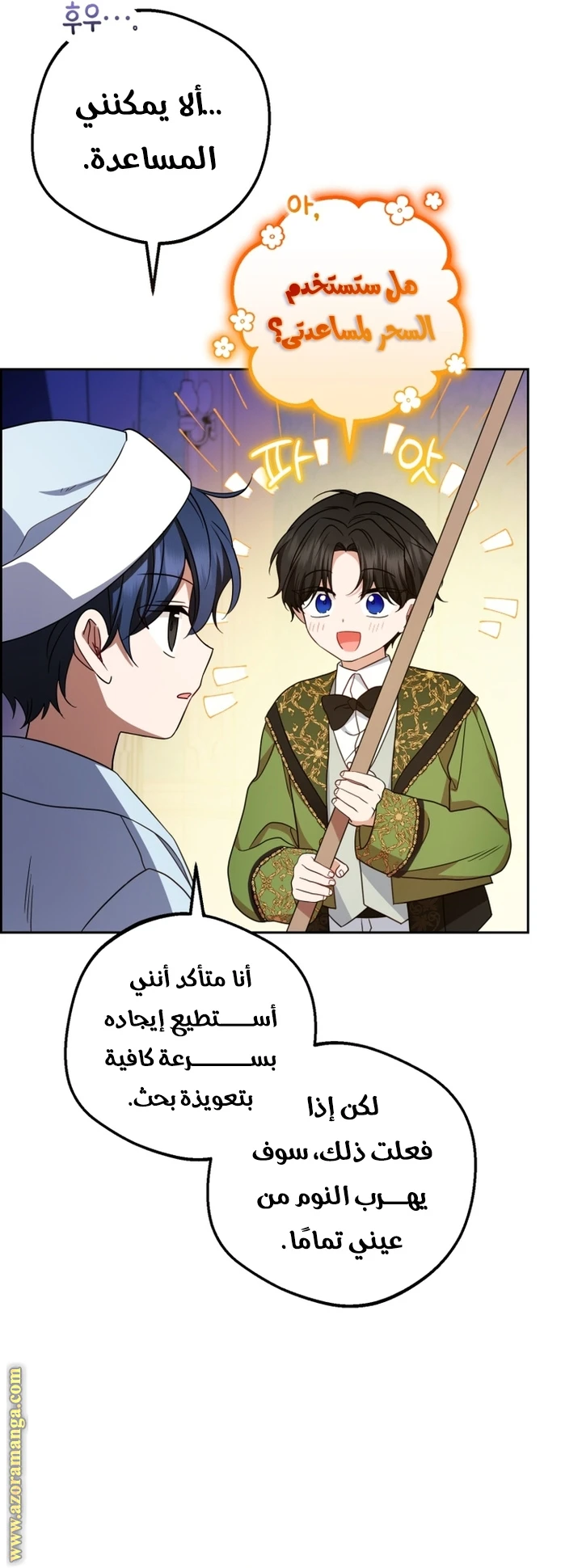 الصفحة 29