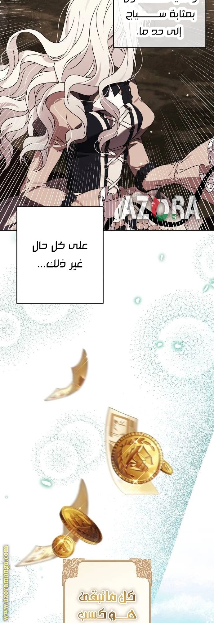 الصفحة 14