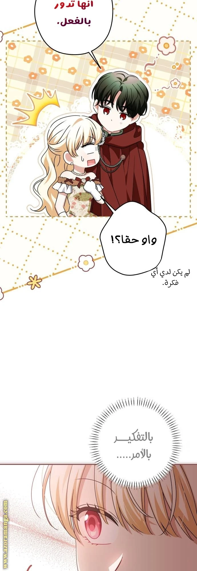 الصفحة 29