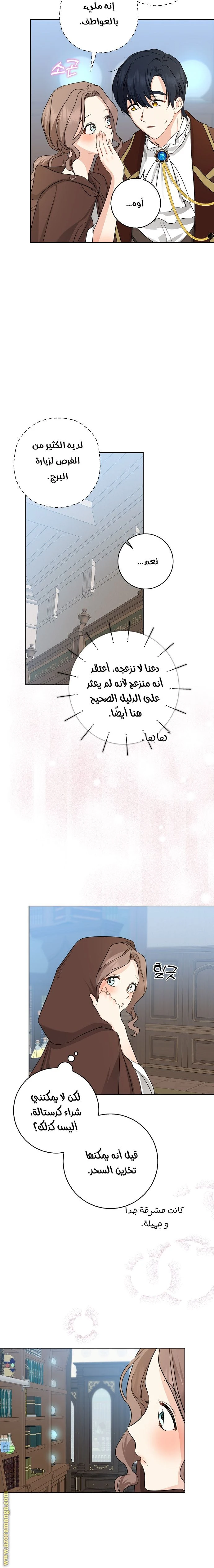 الصفحة 19