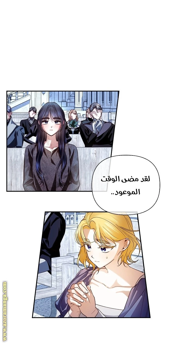 الصفحة 41