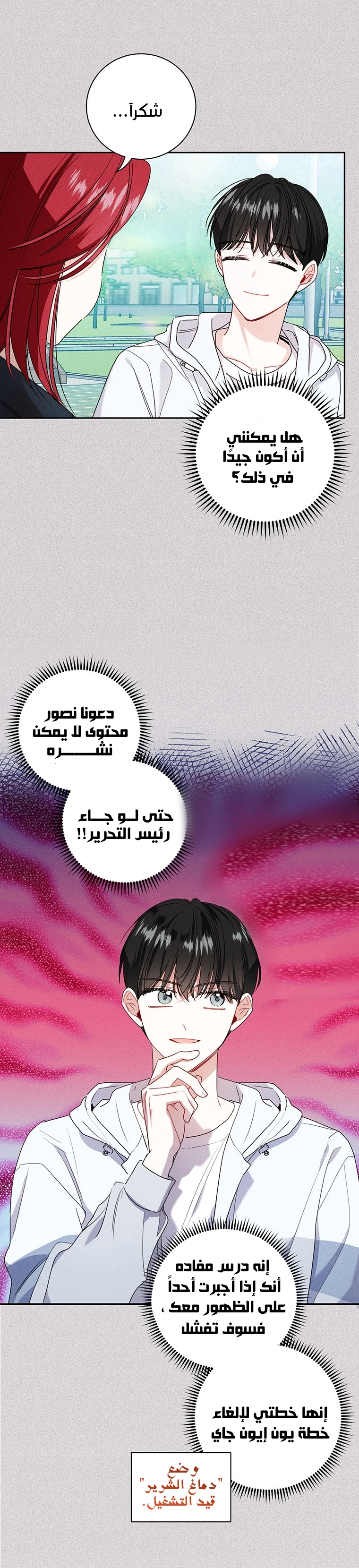 الصفحة 17