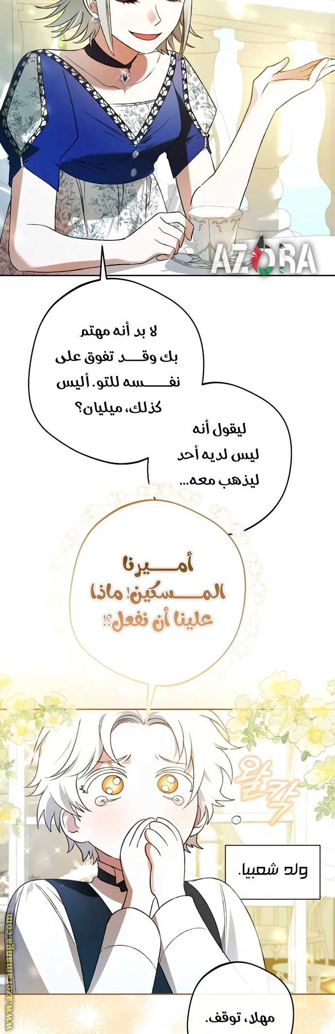 الصفحة 17
