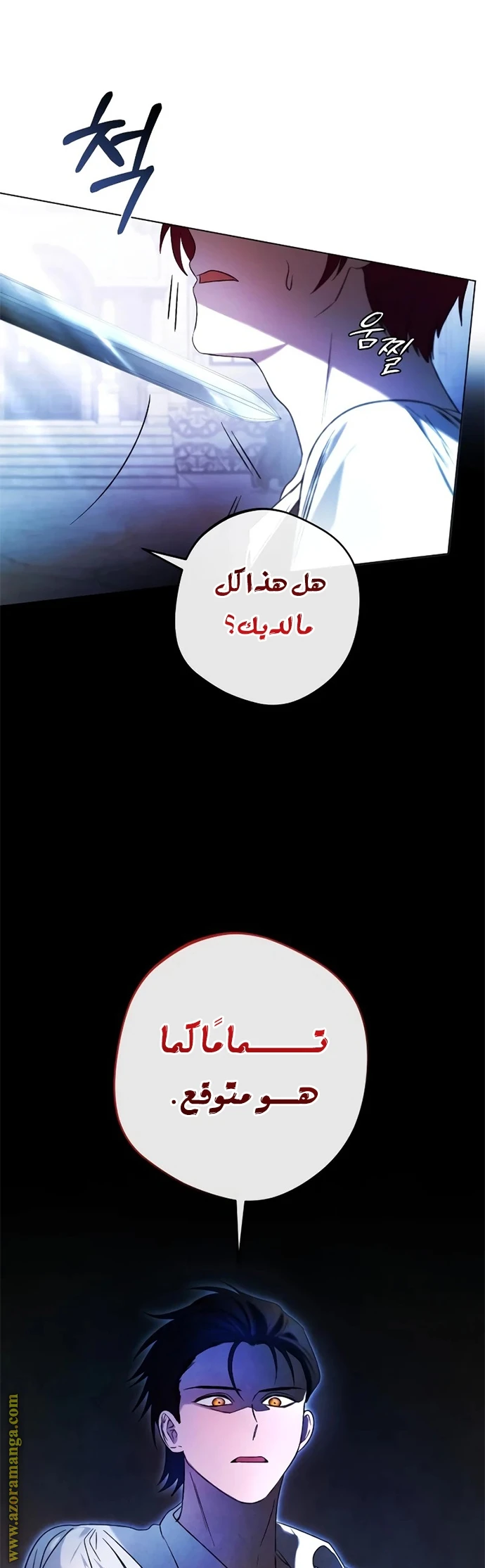 الصفحة 52