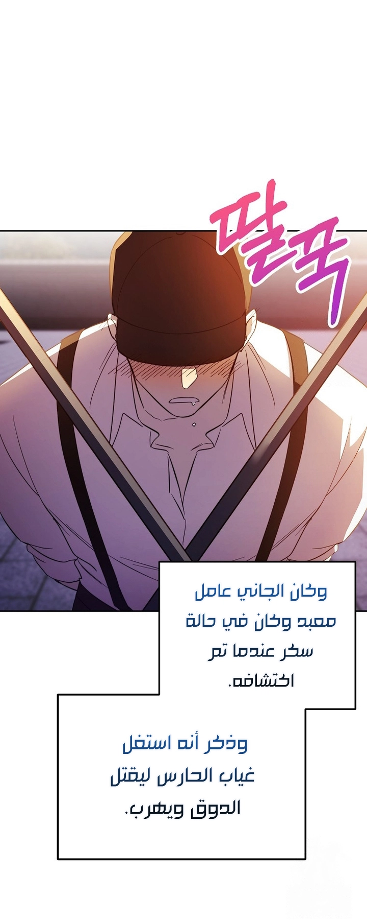 الصفحة 14