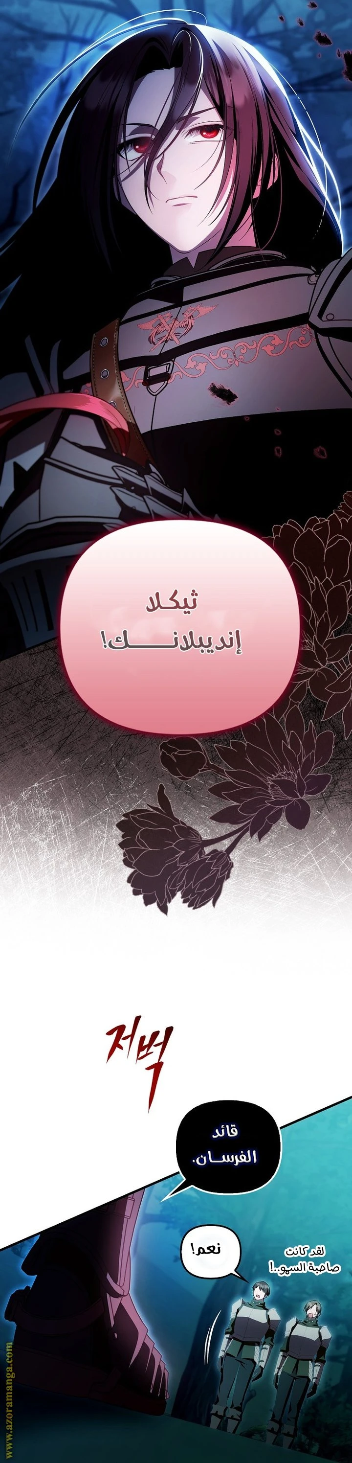 الصفحة 17