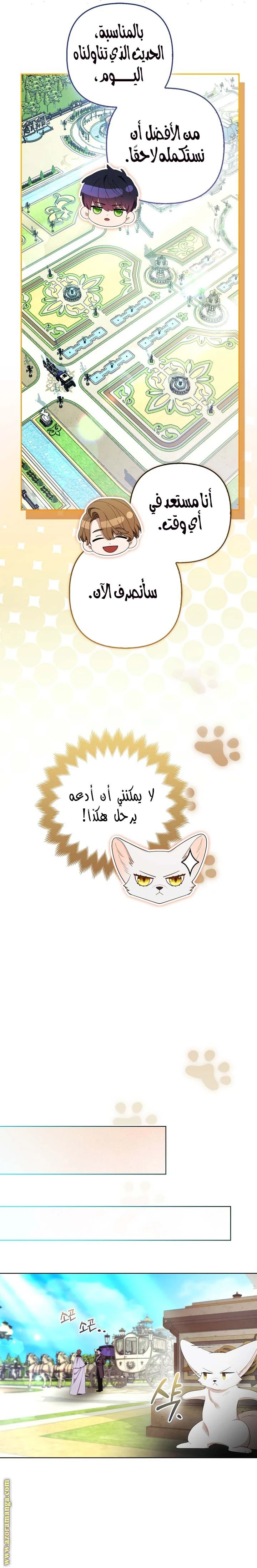 الصفحة 11