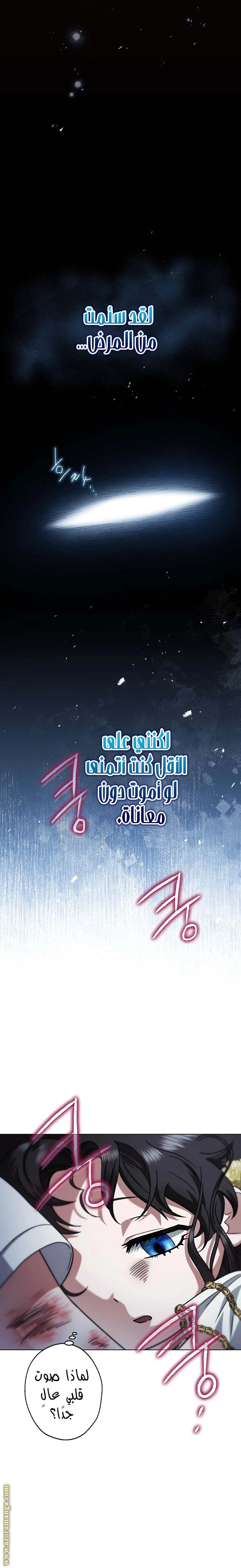 الصفحة 19