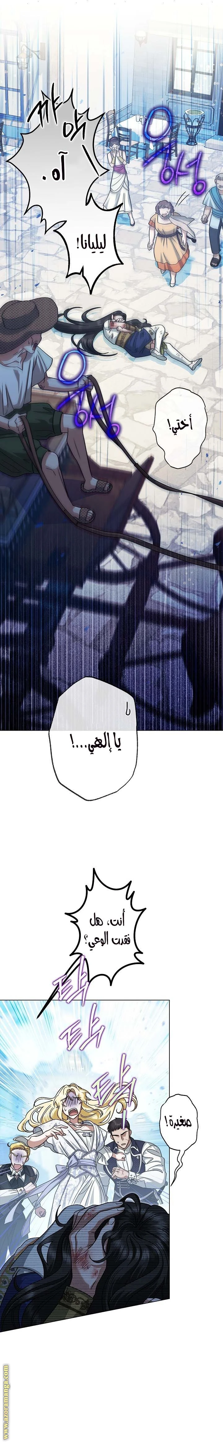 الصفحة 21
