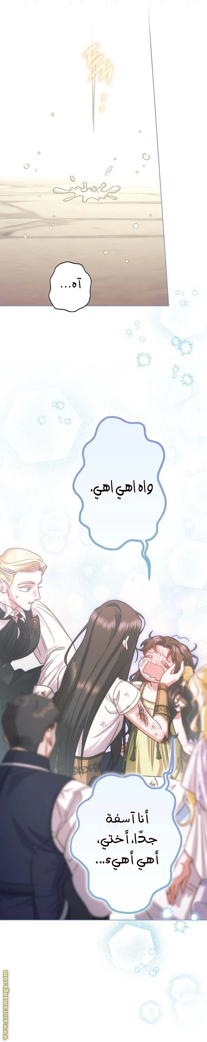 الصفحة 27