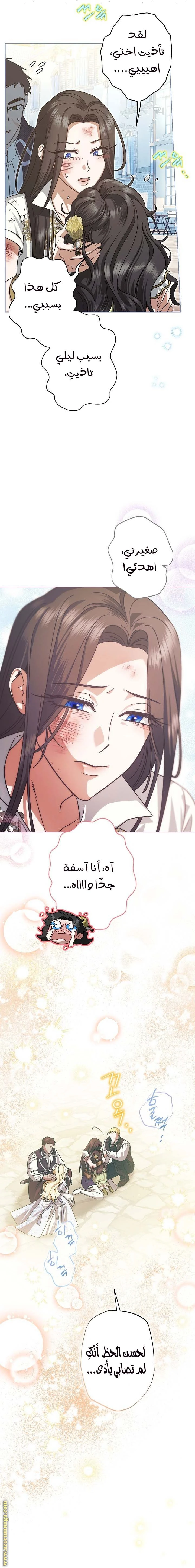 الصفحة 28
