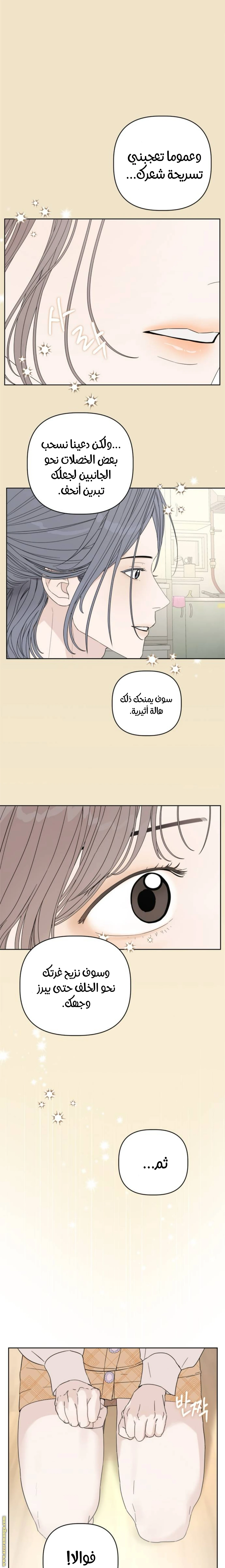 الصفحة 24