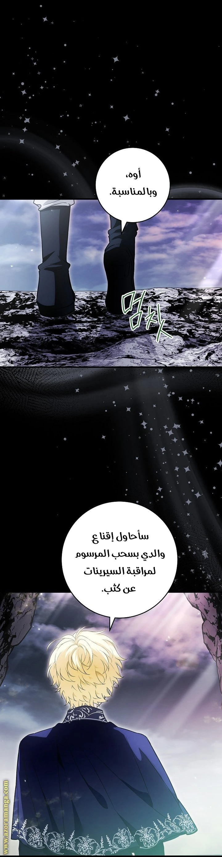 الصفحة 25
