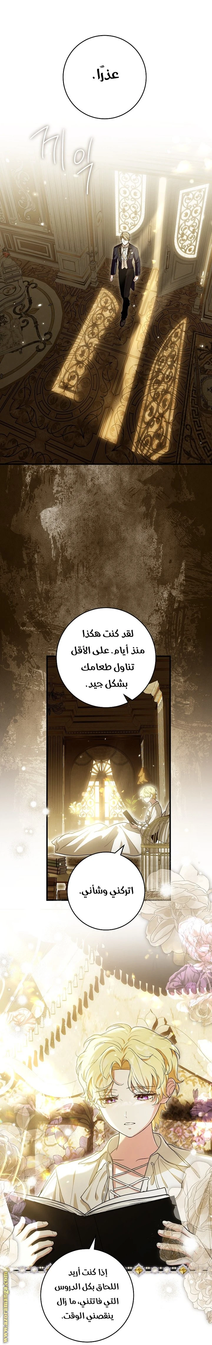 الصفحة 29