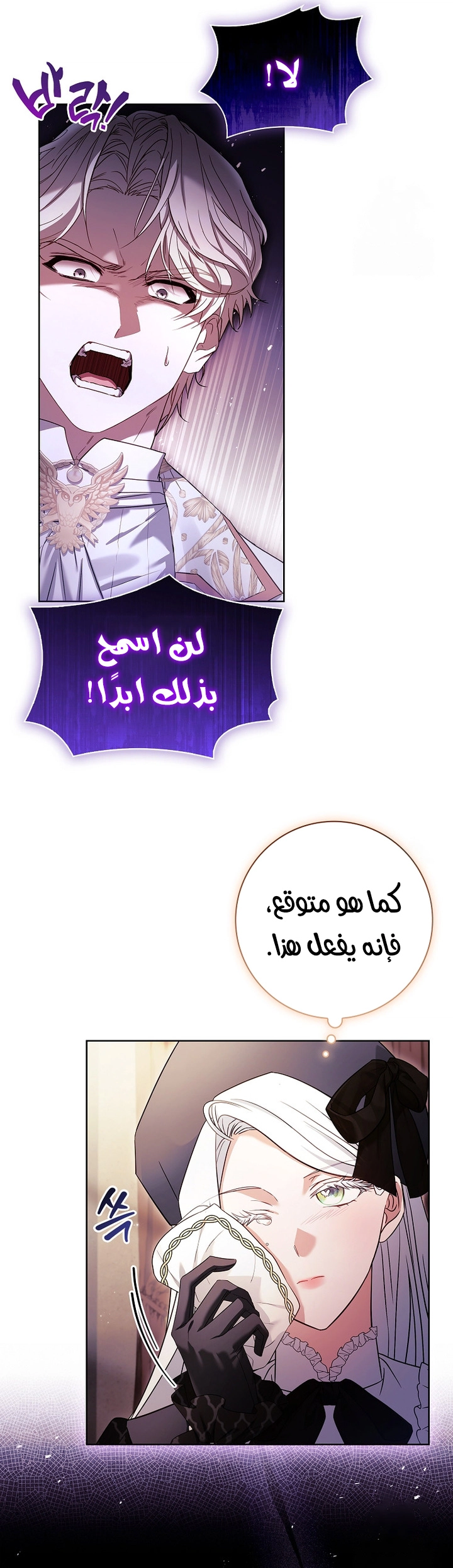 الصفحة 12